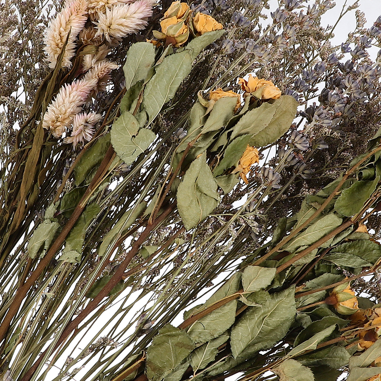 Dried Lavender Roses BouquetPr – Photography Background recenzja i cena