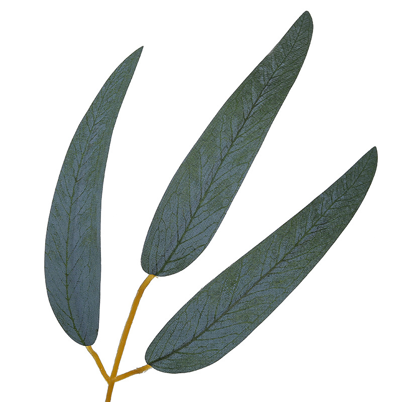 2pc 54cm 3 Fork Eucalyptus Lea – Photography Simulator recenzja i cena