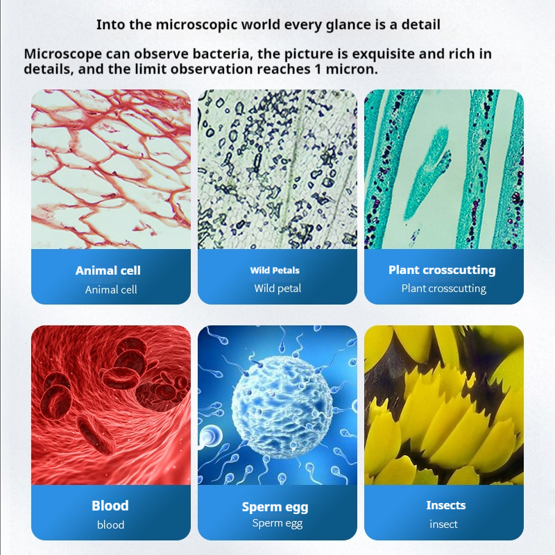 Research Grade Biological Micr – Photography University recenzja i cena