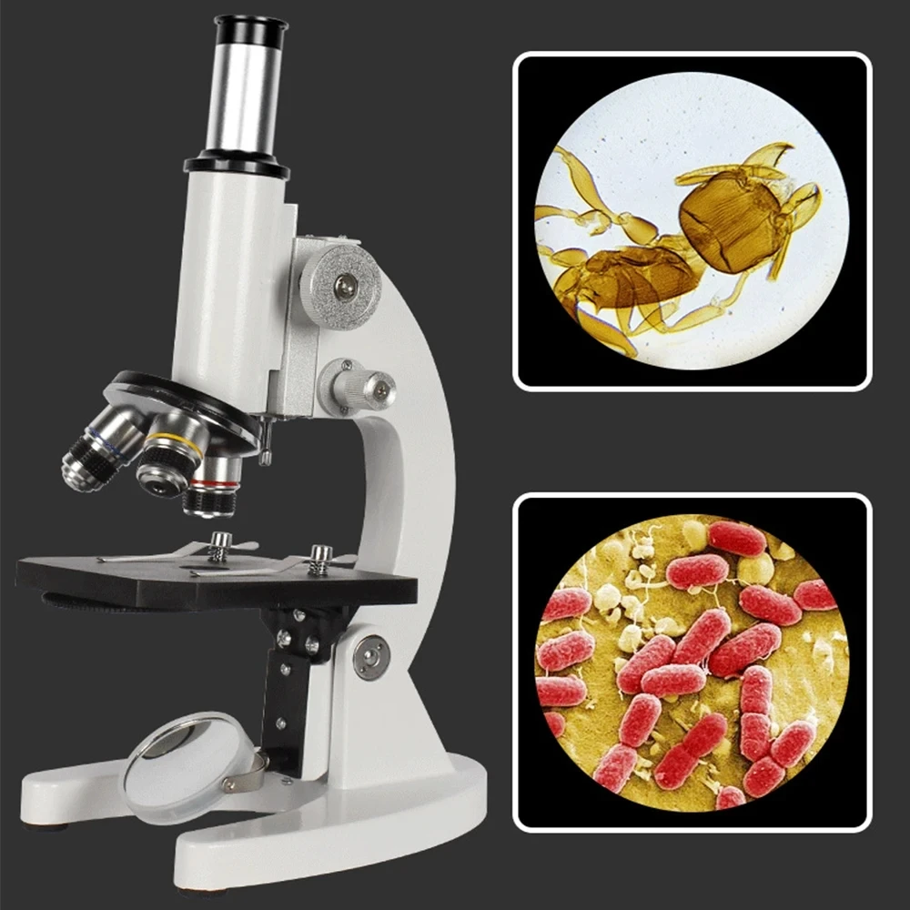 Optical Biological Microscope  – Photography University recenzja i cena